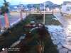 Апартаменты Old marine house Тиват-2